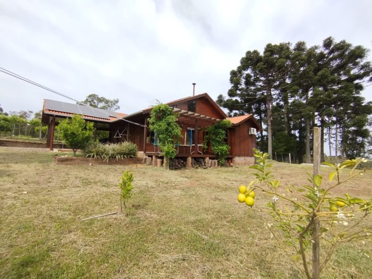 Imagem do WhatsApp de 2025-10-29 à(s) 17.58.55_a03c73ae