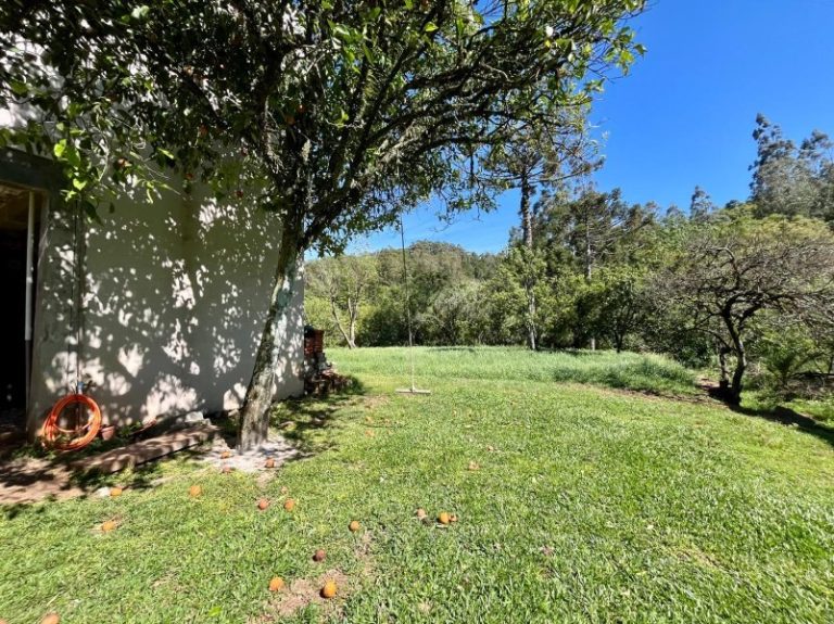 WhatsApp-Image-2025-10-27-at-09.04.59-7