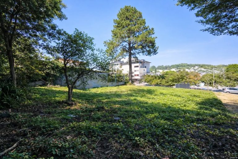 660457244_1704859360684104_5611188433547148397_n