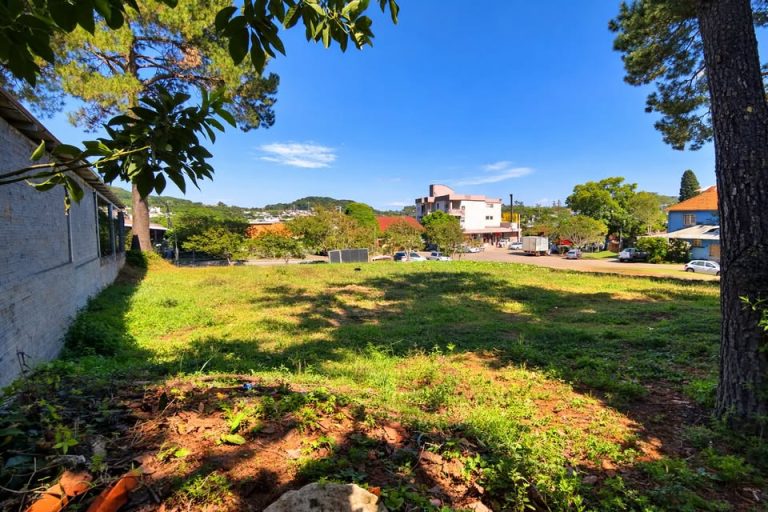 660880081_913634264807158_8849923638594856333_n-1